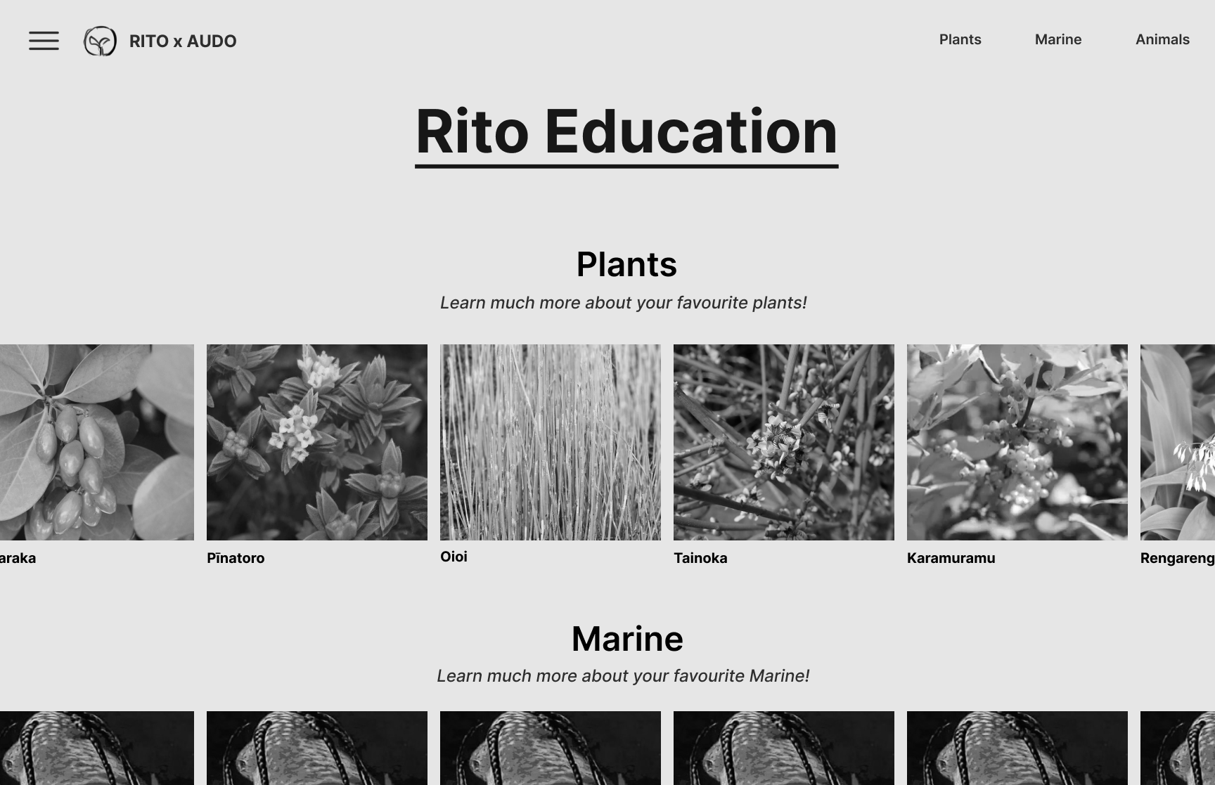 Mid-fidelity education page with species gallery