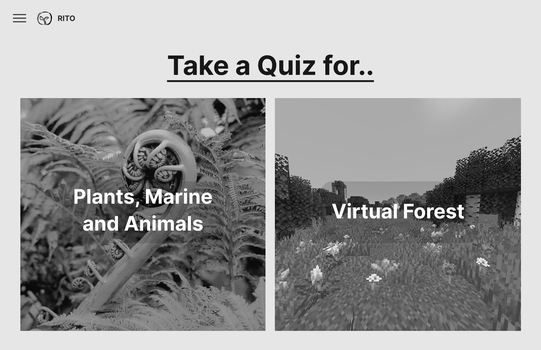 Mid-fidelity quiz selection screen